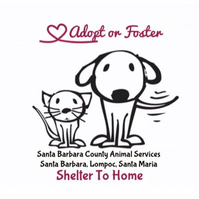 Volunteers helping the SB County Animal Services find homes for our shelter animals▪️Shelter to Home ▪️Adopt or Foster▪️Together we can save lives