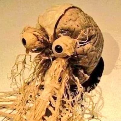 JavierAtiea's profile picture. Loco