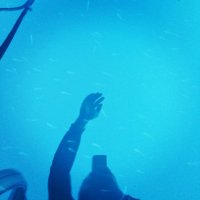 TheZibidiGonzales (@burockandroll) Twitter profile photo