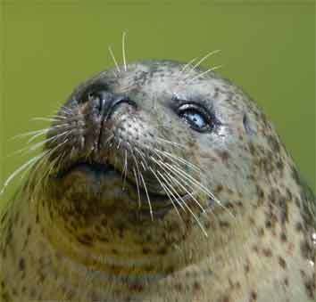 ShirleyH90's profile picture. 