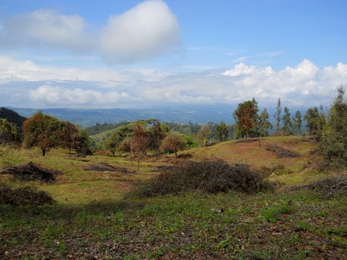 costarica4unow's profile picture. Quintas de Macadamia is located in the heart of Costa Rica about 90 minutes east of San Jose. A beautiful piece of property perfect for you and your family.