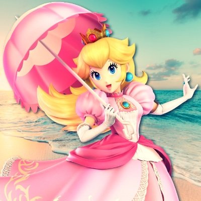 Summer Smash Brothers Zineさんのプロフィール画像