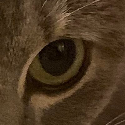 Green88506928's profile picture. Giveaways winner/ Raffles winner