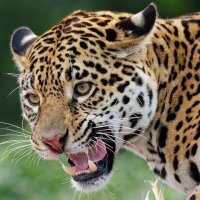VERA MARIA ALBUQUERQ (@veramariams) 's Twitter Profile Photo VERA MARIA ALBUQUERQ (@veramariams) 's Twitter Profile Photo