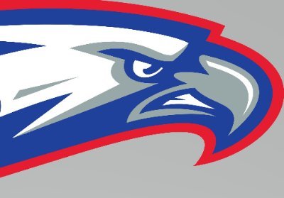 BCEagleBaseball Profile Picture