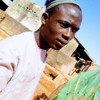 AChifala's profile picture. the last Friday night