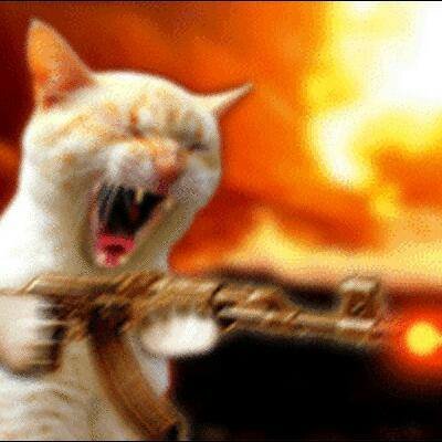 Parriwan's profile picture. https://t.co/oWMPe10SS6
https://t.co/iIGv9WWBev