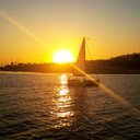 AliceKatReeves - @AliceKatReeves1 - Twitter