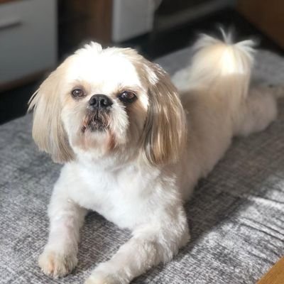 UZAjfTUTwSlfbgZ's profile picture. Kelnerin