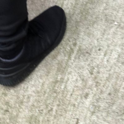 themoaner1000's profile picture. 