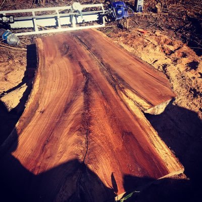 Alaskan and bandsaw milling of big slabs of hardwoods