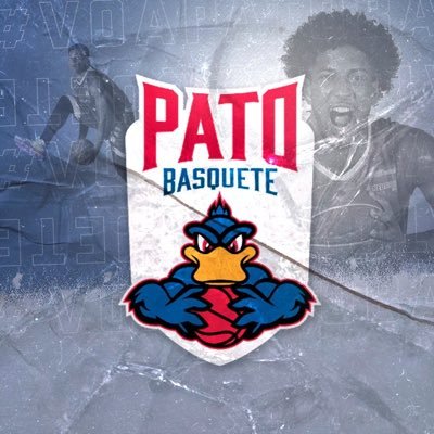 patobasquete Profile