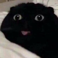 nana (@__nanamoon) 's Twitter Profile