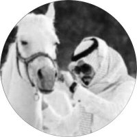 بـدر 🇰🇼 (@ami9199) 's Twitter Profile