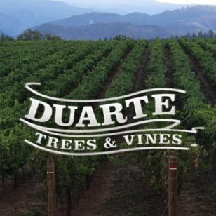 Duarte Nursery, Inc. (DNI) is a family owned and operated nursery and the largest permanent crops nursery in the United States.