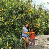 Sandra Quenaya (@quenayasandra) 's Twitter Profile