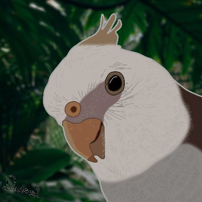 I like to take pictures of birds and cartoon them!

If you want a cartooned version of your own bird (or any other pet), you can dm me!