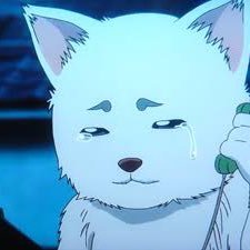 k0o1y2a3m4a51's profile picture. 