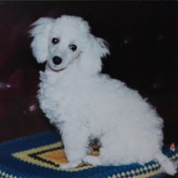 milekio (@milekio_1330) 's Twitter Profile