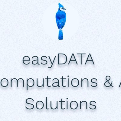 AI & Computation, all Big DATA, programming, and #AI applications, computations .. location #Bahrain. إيزي داتا لبرمجيات الذكاء الاصطناعي-المعلوماتية - البحرين