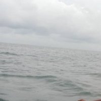 Ocean Acidification Project in Tanzania..(@OAtanzania) 's Twitter Profile Photo