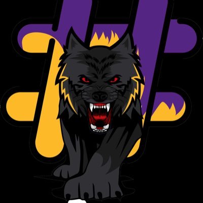 CodeSigned248's profile picture. @safeeasyprivacy @xagainsty