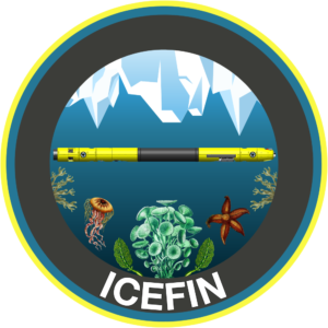 Icefin