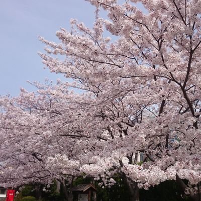 ponhi_'s profile picture. 脚フェチの裏垢。黒タイツが好き