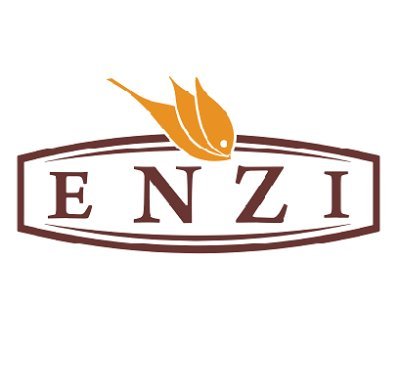 ENZImv Profile Picture