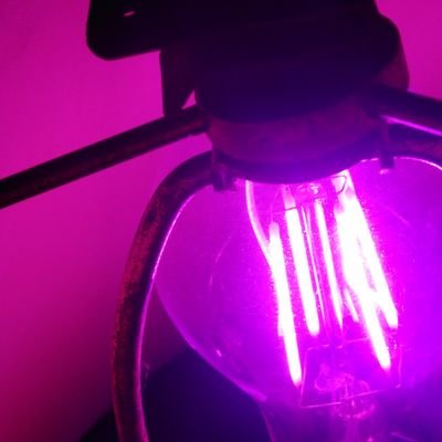 AlbNchz's profile picture. 