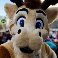 Giraffe the Giraffe(@giraffeagiraffe) 's Twitter Profile Photo