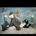 James Dokken - @No1_Lover - Twitter