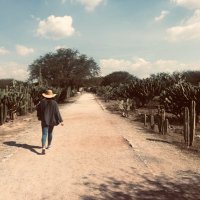 Limonada (@amonopales) Twitter profile photo