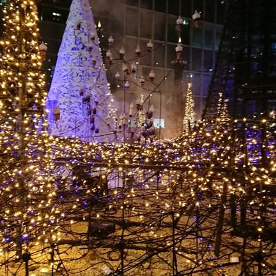 yeqZ6xnDkHohACW's profile picture. 