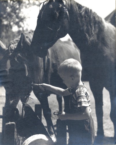 wwlawr's profile picture. Attorney.  Single.  Life member of Mensa.  SCUBA diver.