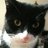 alistairregan's profile image