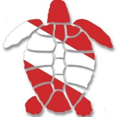 scubarius's profile picture. Discover the joy and excitement of scuba diving in #Bali #Indonesia