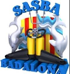 @sasbabdn