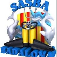 @sasbabdn(@sasbabdn) 's Twitter Profile Photo