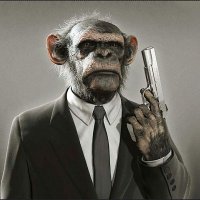 Kağan (Laborantboy) E.S.T (@kaan1o4) 's Twitter Profile