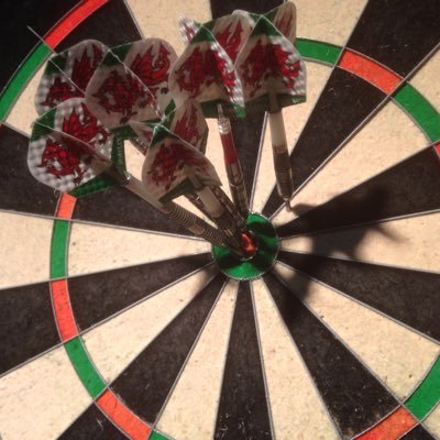 tonkatimothy's profile picture. Darts darts darts , Scarlets fan and Welsh rugby nut