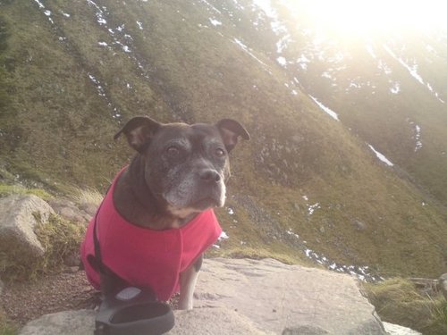 olley669's profile picture. 