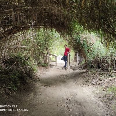 garciavelIiyD's profile picture. . Documentalista sanitario. 
. Bibliotecario.
. Creador digital
. Youtuber