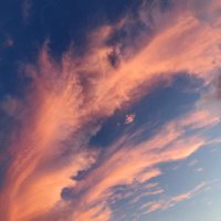 soren (@cs91012771) 's Twitter Profile