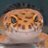 e964w124hcr32's profile image