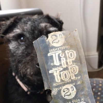 paws_open's profile picture. Out in all weathers, 365 days a year. An army of pickers keeping our beaches and open spaces clean and creating new incentives to care for the environment.