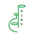 sibv_it Profile Picture