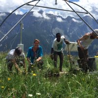 Disturbance Ecology @unibt (@disturbanceeco1) 's Twitter Profile