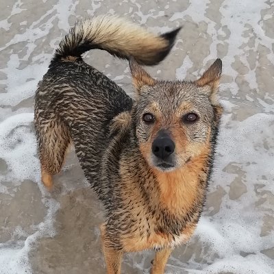 Xavier_stan's profile picture. Make this life your own!