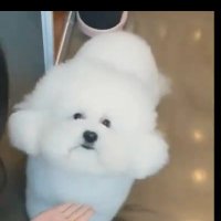 หนูวีวี่૮₍ ˃ ⤙ ˂ ₎ა (@janejira94) 's Twitter Profile